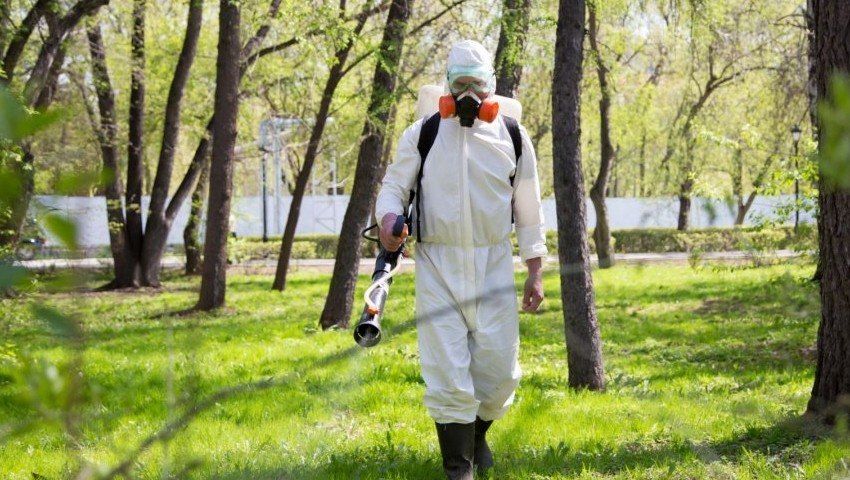 Уничтожение комаров в Кемерово