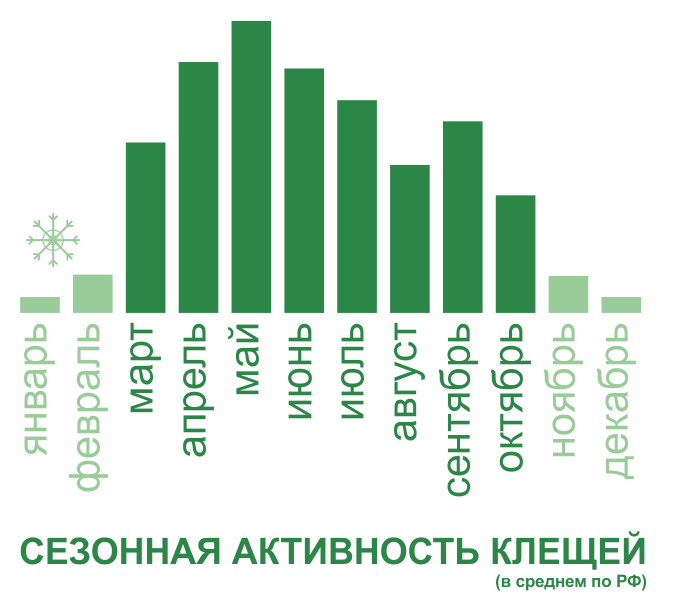 Акарицидная обработка от клещей территории и участков в Кемерово. Цены